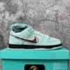 Nike Dunk