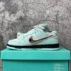 Nike Dunk
