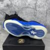 Nike Air Foamposite One International Blue