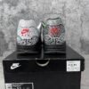 Nike Air Max 1 Tokyo Maze