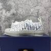 Dior B23 Low White Navy Oblique