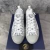 Dior B23 Low White Navy Oblique