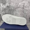 Dior B23 Low White Navy Oblique