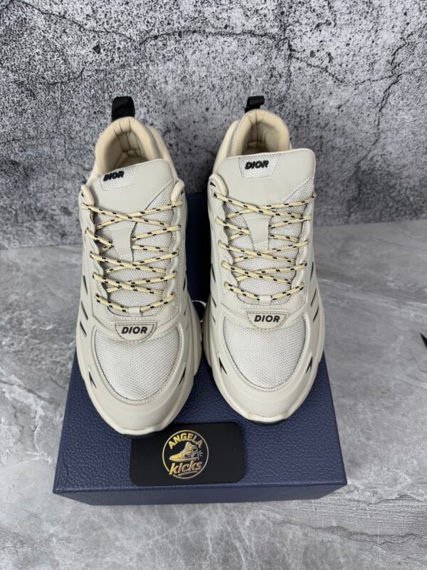IMG_2111 Dior B44 Blade